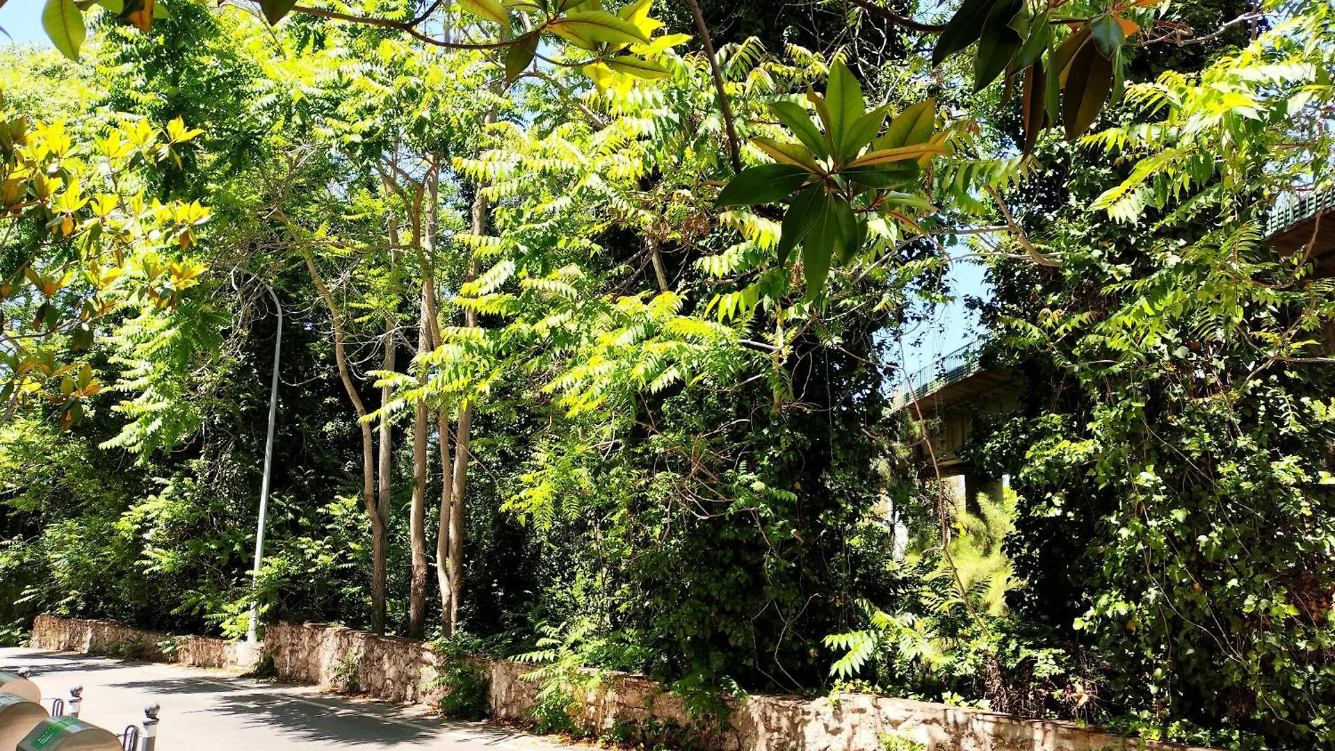 Booking Relax Τορρεμολίνος